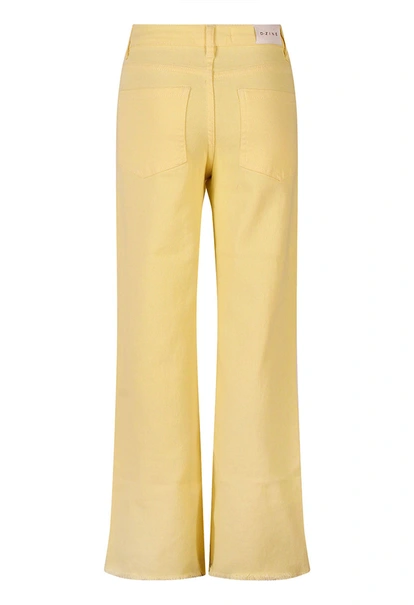 D-zine meisjes broek